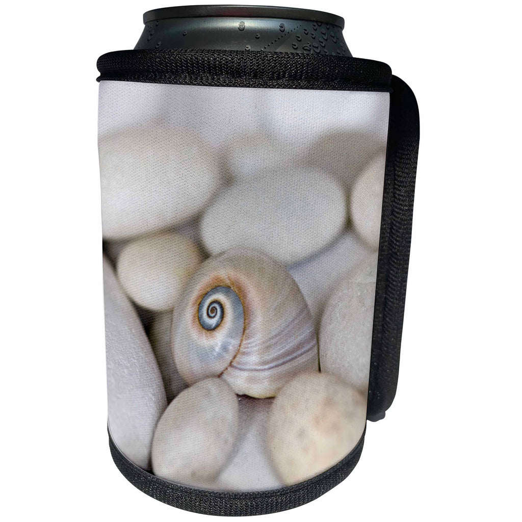 3dRose Andrea Haase Nature Photography - Close Up Of Pretty Sharks Eye Shell - Can Cooler Bottle Wrap (cc_276237)