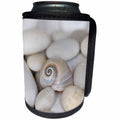 3dRose Andrea Haase Nature Photography - Close Up Of Pretty Sharks Eye Shell - Can Cooler Bottle Wrap (cc_276237)