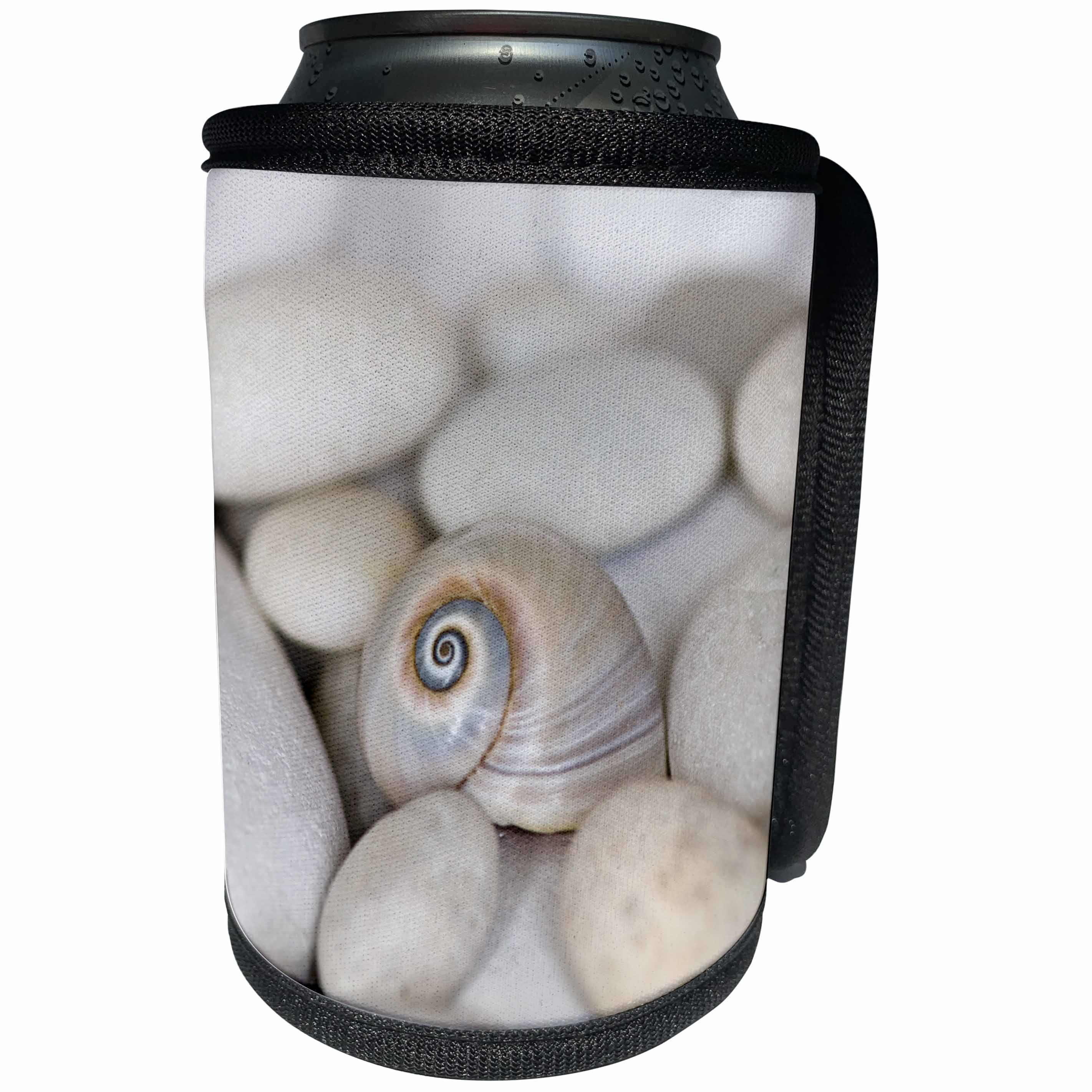 3dRose Andrea Haase Nature Photography - Close Up Of Pretty Sharks Eye Shell - Can Cooler Bottle Wrap (cc_276237)