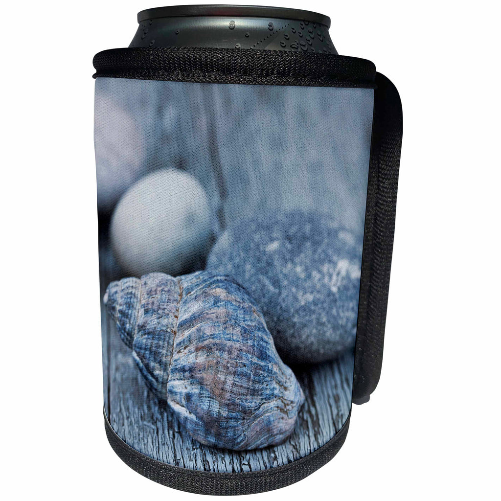 3dRose Andrea Haase Nature Photography - Pretty Blue Shell And Pebble On Driftwood - Can Cooler Bottle Wrap (cc_276238)