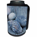 3dRose Andrea Haase Nature Photography - Pretty Blue Shell And Pebble On Driftwood - Can Cooler Bottle Wrap (cc_276238)