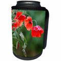 3dRose Andrea Haase Nature Photography - Red Poppy Flower And Parsley - Can Cooler Bottle Wrap (cc_276243)