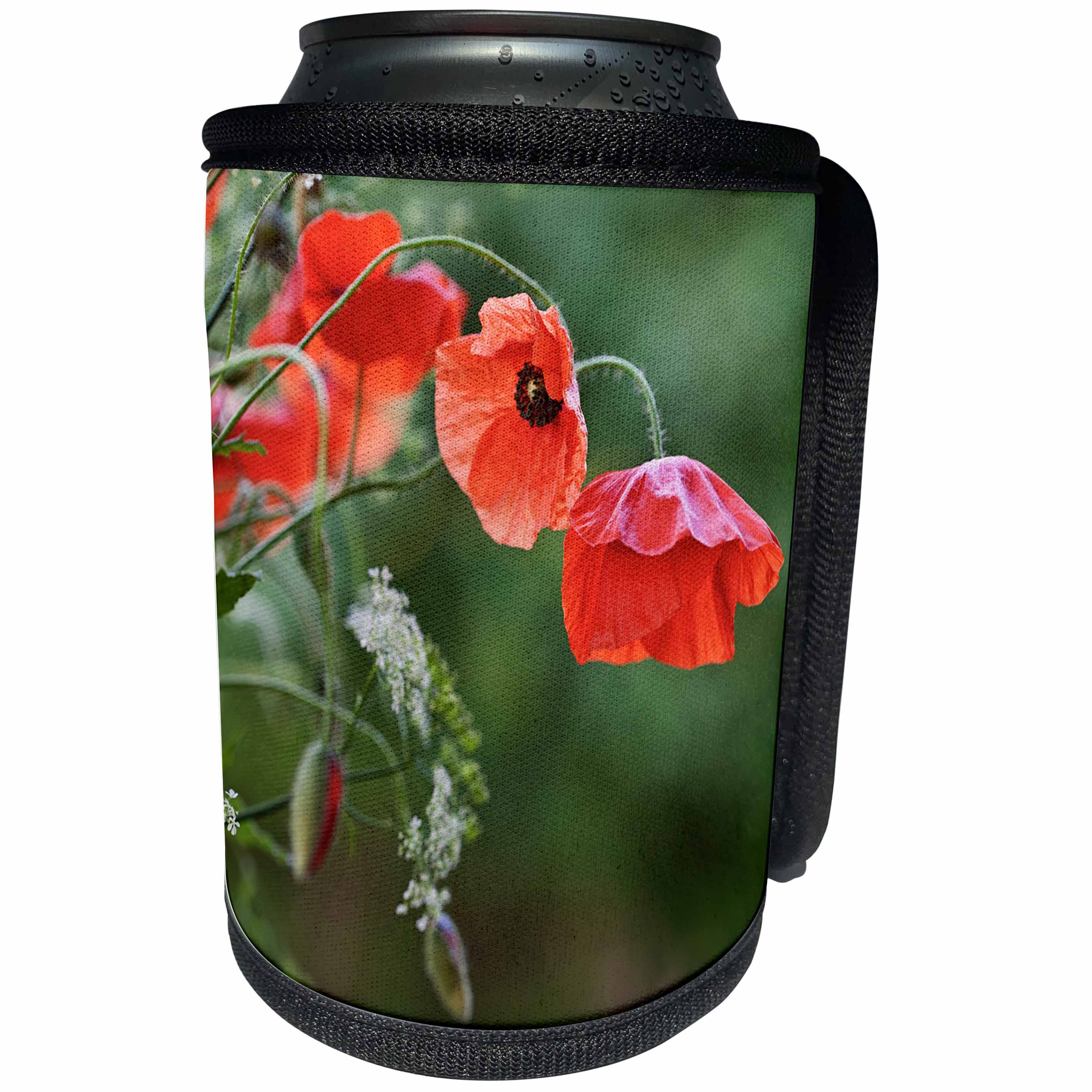 3dRose Andrea Haase Nature Photography - Red Poppy Flower And Parsley - Can Cooler Bottle Wrap (cc_276243)