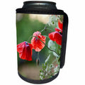 3dRose Andrea Haase Nature Photography - Red Poppy Flower And Parsley Close Up - Can Cooler Bottle Wrap (cc_276244)
