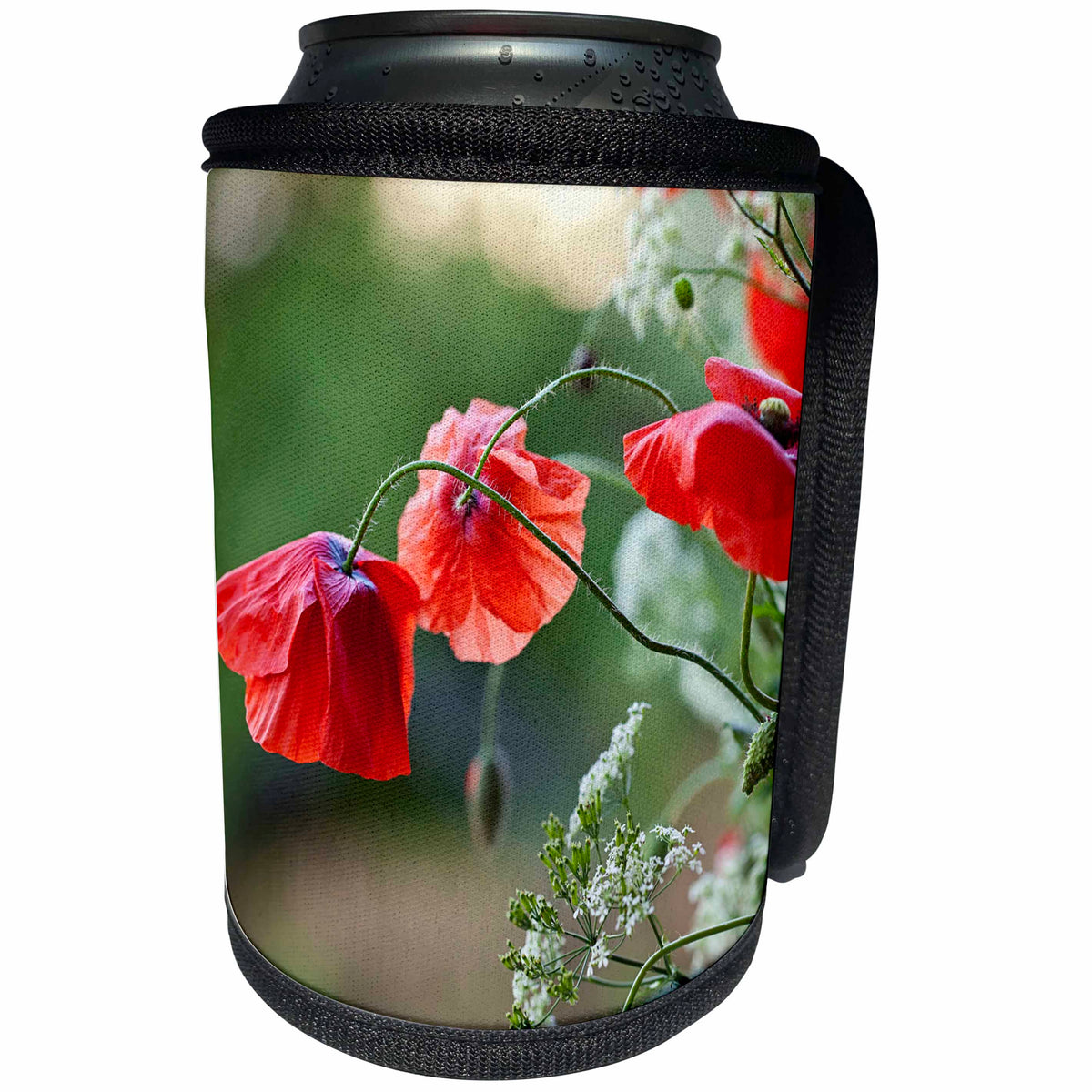 3dRose Andrea Haase Nature Photography - Red Poppy Flower And Parsley Close Up - Can Cooler Bottle Wrap (cc_276244)