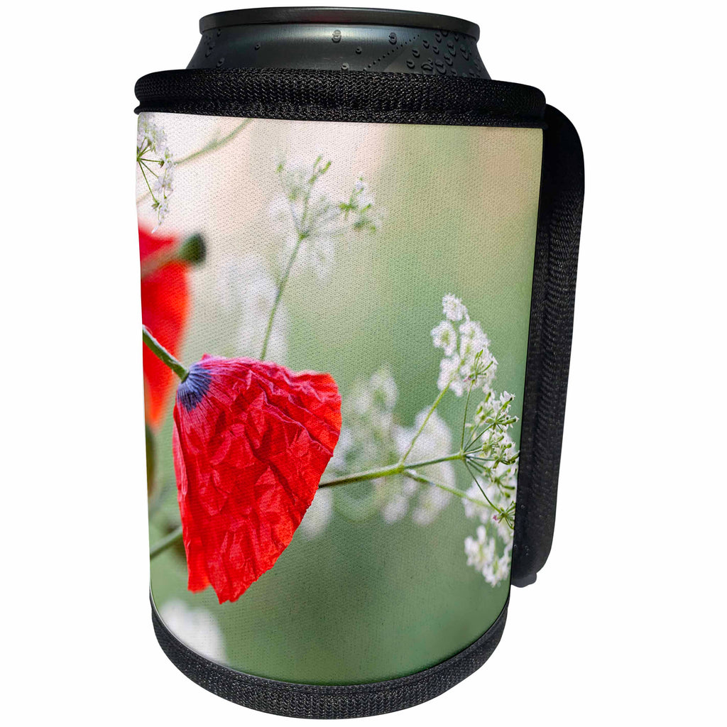 3dRose Andrea Haase Nature Photography - White Parsley With Poppy Flower - Can Cooler Bottle Wrap (cc_276246)