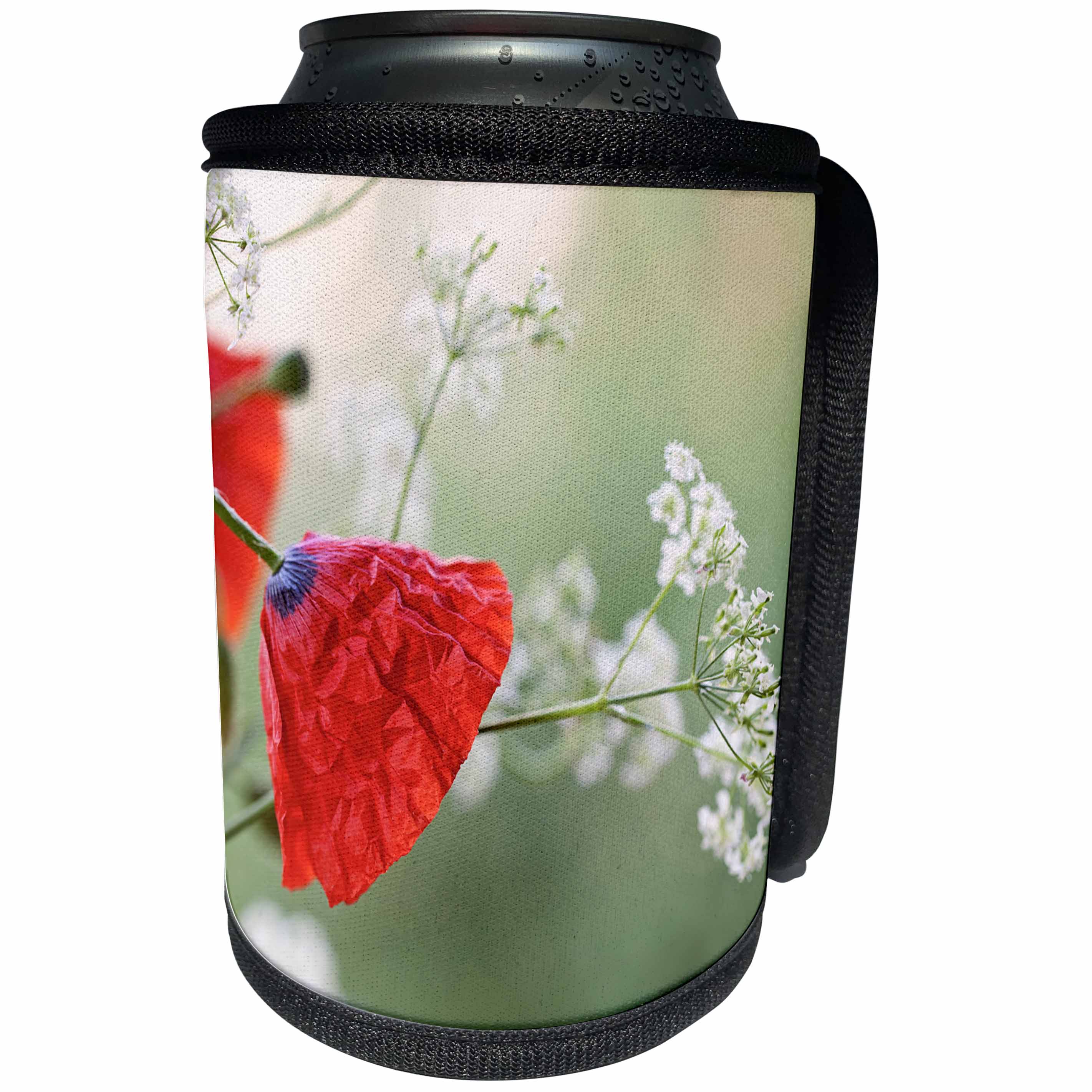 3dRose Andrea Haase Nature Photography - White Parsley With Poppy Flower - Can Cooler Bottle Wrap (cc_276246)