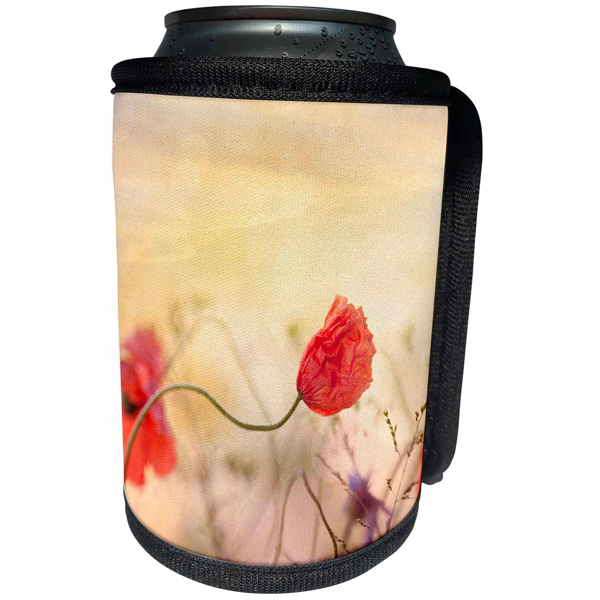3dRose Andrea Haase Nature Photography - Poppy Flowers At Sunset - Can Cooler Bottle Wrap (cc_276247)