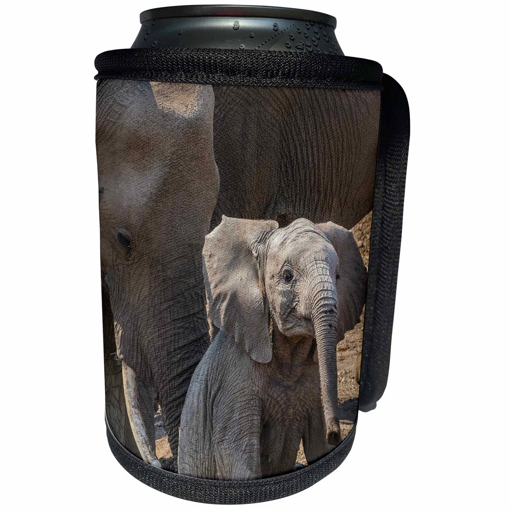 3dRose Danita Delimont - Elephants - African elephants, Mashatu Reserve, Botswana - Can Cooler Bottle Wrap (cc_276409)