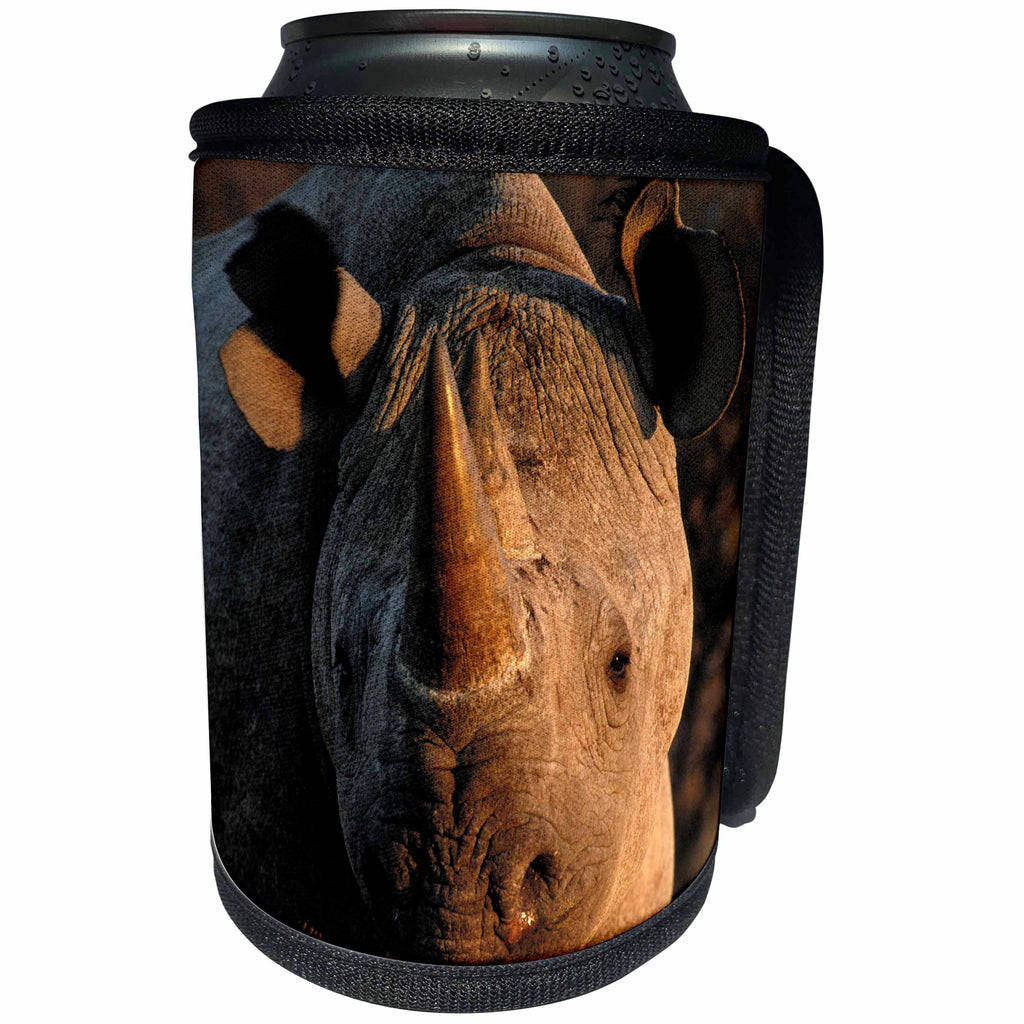 3dRose Danita Delimont - Rhinos - Desert black rhinoceros portrait, Kalahari Desert, Africa - Can Cooler Bottle Wrap (cc_276412)