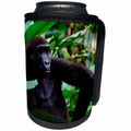 3dRose Danita Delimont - Primates - Western lowland gorilla contemplating life. Odzala Kokoua NP. Congo - Can Cooler Bottle Wrap (cc_276413)