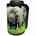 3dRose Danita Delimont - Elephants - African forest elephant, Odzala Kokoua NP. Republic of the Congo - Can Cooler Bottle Wrap (cc_276419)