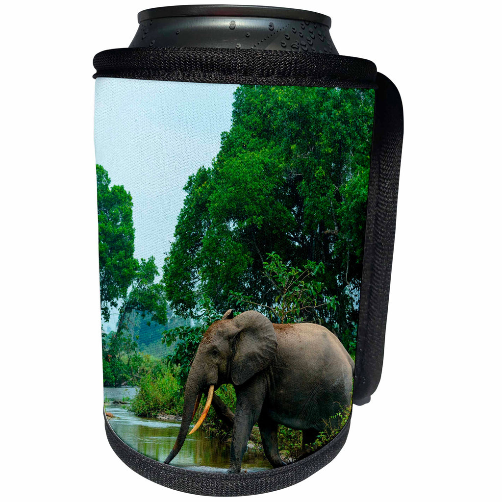 3dRose Danita Delimont - Elephants - African forest elephant crossing a River. Odzala Kokoua NP. Congo - Can Cooler Bottle Wrap (cc_276423)