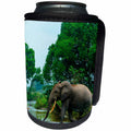 3dRose Danita Delimont - Elephants - African forest elephant crossing a River. Odzala Kokoua NP. Congo - Can Cooler Bottle Wrap (cc_276423)