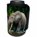 3dRose Danita Delimont - Elephants - African forest elephant wading in a River. Odzala Kokoua NP. Congo - Can Cooler Bottle Wrap (cc_276424)