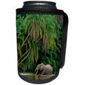 3dRose Danita Delimont - Elephants - African forest elephant in Lekoli River. Odzala Kokoua NP. Congo - Can Cooler Bottle Wrap (cc_276425)