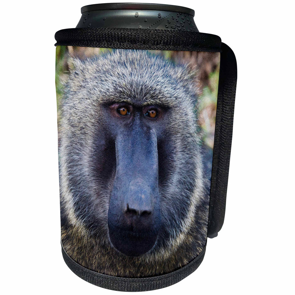 3dRose Danita Delimont - Primates - Baboon in Abijatta Shalla Lakes National Park, Ethiopia - Can Cooler Bottle Wrap (cc_276443)