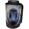 3dRose Danita Delimont - Primates - Baboon in Abijatta Shalla Lakes National Park, Ethiopia - Can Cooler Bottle Wrap (cc_276443)