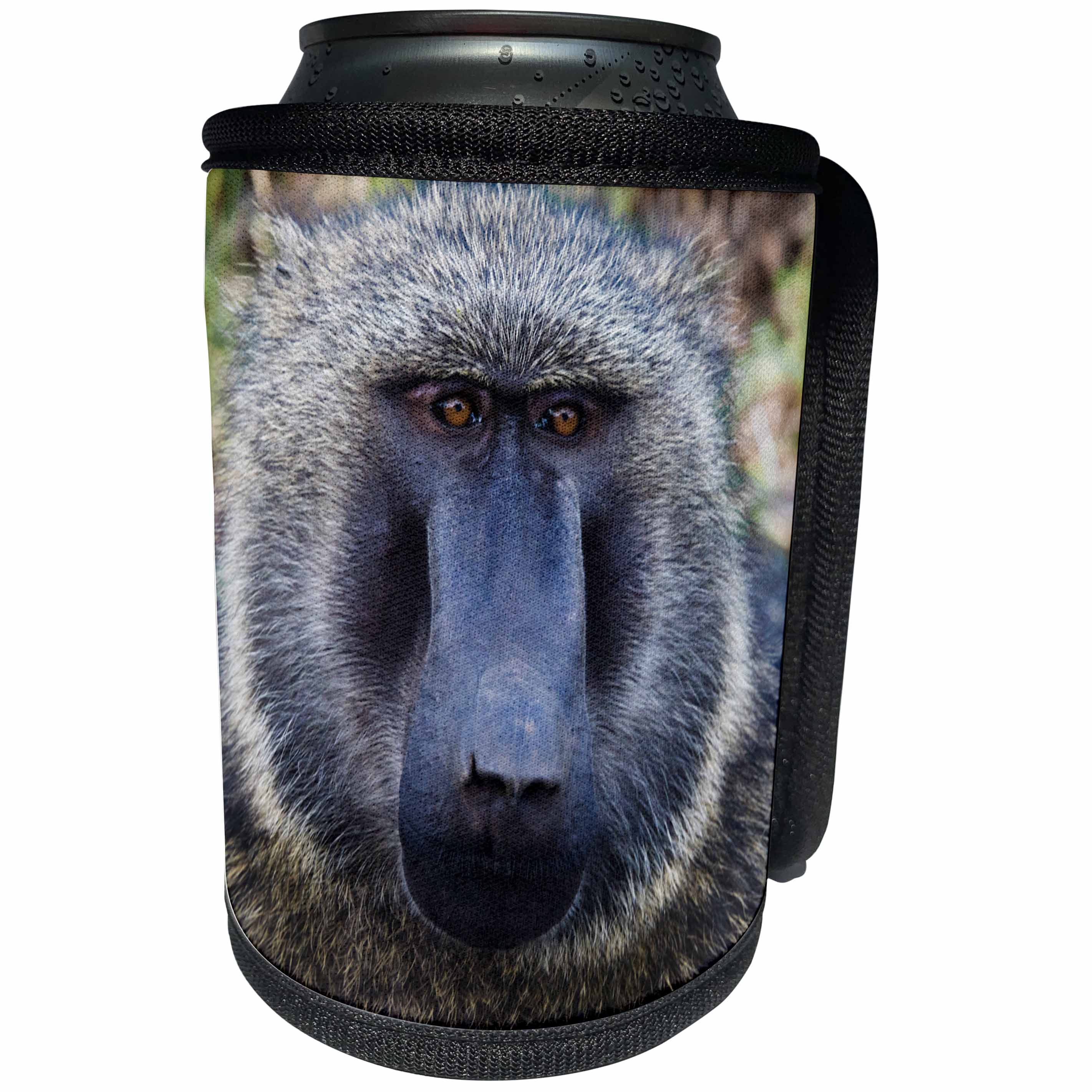 3dRose Danita Delimont - Primates - Baboon in Abijatta Shalla Lakes National Park, Ethiopia - Can Cooler Bottle Wrap (cc_276443)