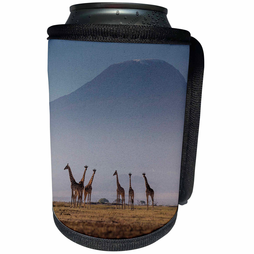 3dRose Danita Delimont - Giraffes - Masai giraffes and Mount Kilimanjaro, Amboseli National Park, Kenya - Can Cooler Bottle Wrap (cc_276450)