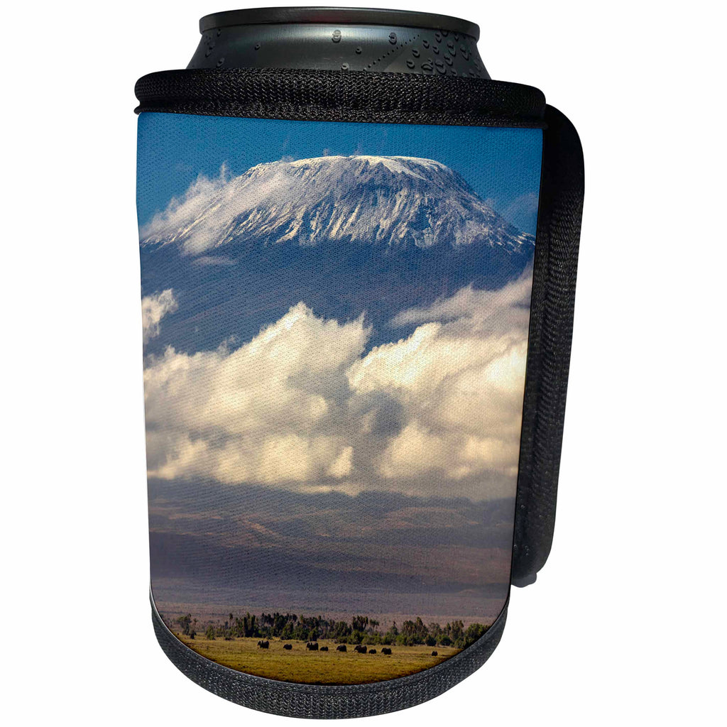 3dRose Danita Delimont - Mountains - Amboseli National Park, Kenya - Can Cooler Bottle Wrap (cc_276451)