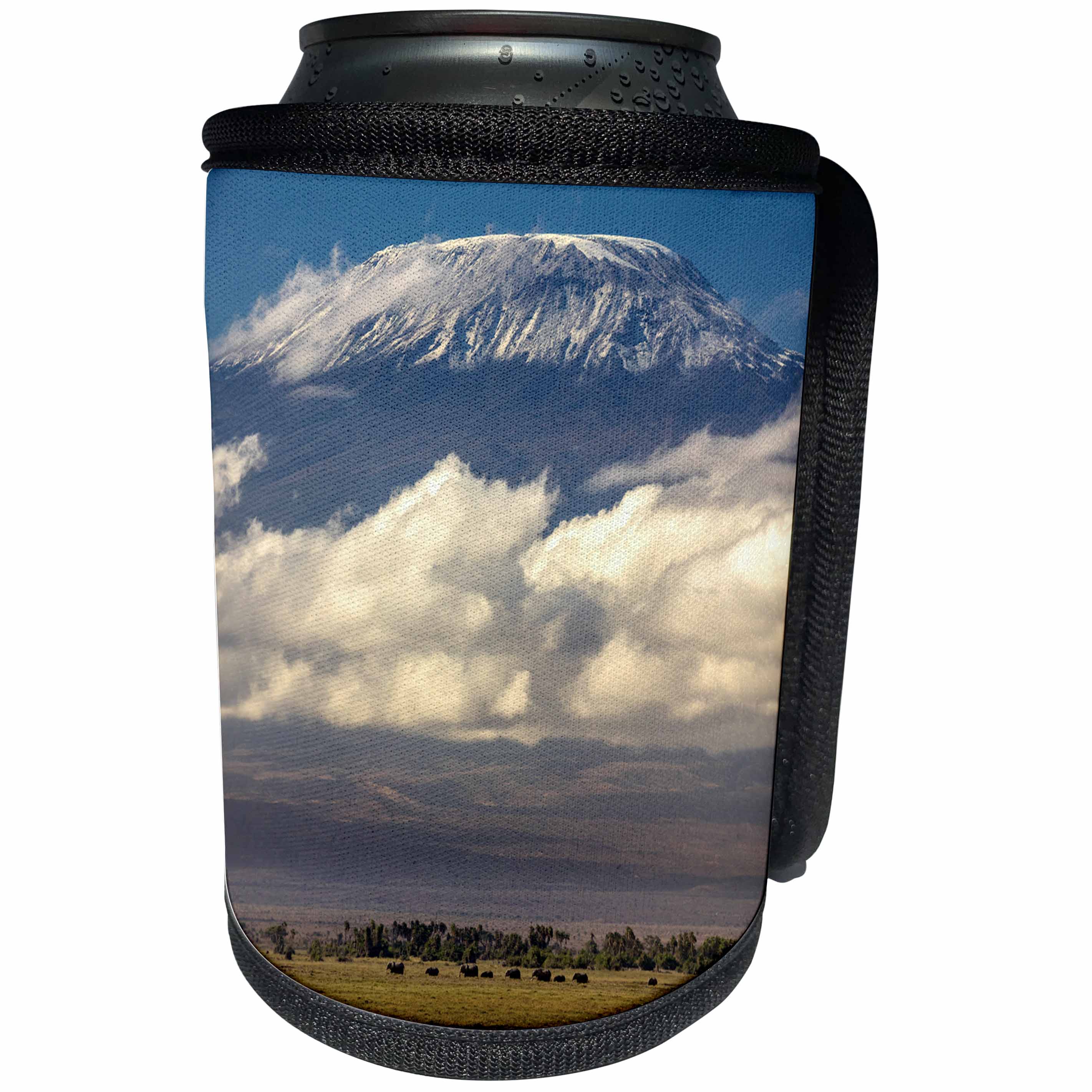 3dRose Danita Delimont - Mountains - Amboseli National Park, Kenya - Can Cooler Bottle Wrap (cc_276451)