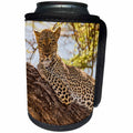 3dRose Danita Delimont - Big Cats - Africa, Kenya, Samburu National Reserve. African Leopard in tree. - Can Cooler Bottle Wrap (cc_276454)