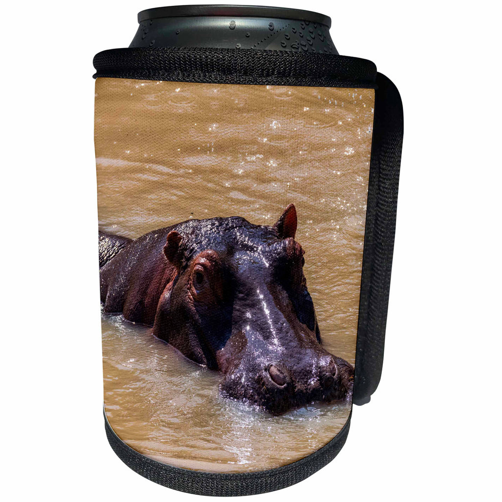 3dRose Danita Delimont - Hippos - Kenya, Masai Mara National Reserve. Hippopotamus. - Can Cooler Bottle Wrap (cc_276456)