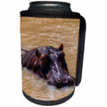 3dRose Danita Delimont - Hippos - Kenya, Masai Mara National Reserve. Hippopotamus. - Can Cooler Bottle Wrap (cc_276456)
