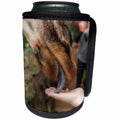 3dRose Danita Delimont - Giraffes - Kenya, Langata, Nairobi. Rothschild giraffe being hand fed. - Can Cooler Bottle Wrap (cc_276459)