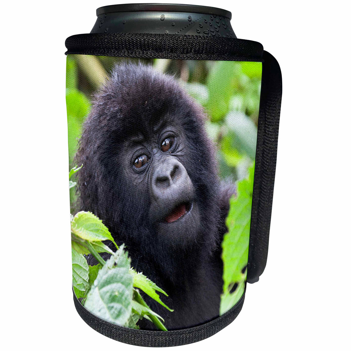 3dRose Danita Delimont - Baby animals - Africa, Rwanda, Volcanoes NP. Adorable young mountain gorilla. - Can Cooler Bottle Wrap (cc_276539)