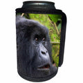 3dRose Danita Delimont - Primates - Africa, Rwanda, Volcanoes NP, mountain gorilla. - Can Cooler Bottle Wrap (cc_276540)