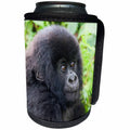 3dRose Danita Delimont - Baby animals - Africa, Rwanda, Volcanoes NP. Young mountain gorilla portrait. - Can Cooler Bottle Wrap (cc_276541)