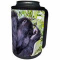 3dRose Danita Delimont - Primates - Rwanda, Volcanoes NP, Ruhengeri, Kinigi, Mountain Gorilla sleeping. - Can Cooler Bottle Wrap (cc_276547)