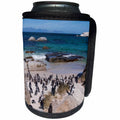 3dRose Danita Delimont - Penguins - South Africa, Cape Town, Boulders Beach. African penguin colony - Can Cooler Bottle Wrap (cc_276556)