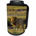 3dRose Danita Delimont - Big Cats - Africa, Tanzania, Ngorongoro Conservation Area. A male lion. - Can Cooler Bottle Wrap (cc_276557)