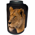 3dRose Danita Delimont - Big Cats - Africa. Tanzania. African lioness, Panthera Leo, Serengeti NP. - Can Cooler Bottle Wrap (cc_276558)