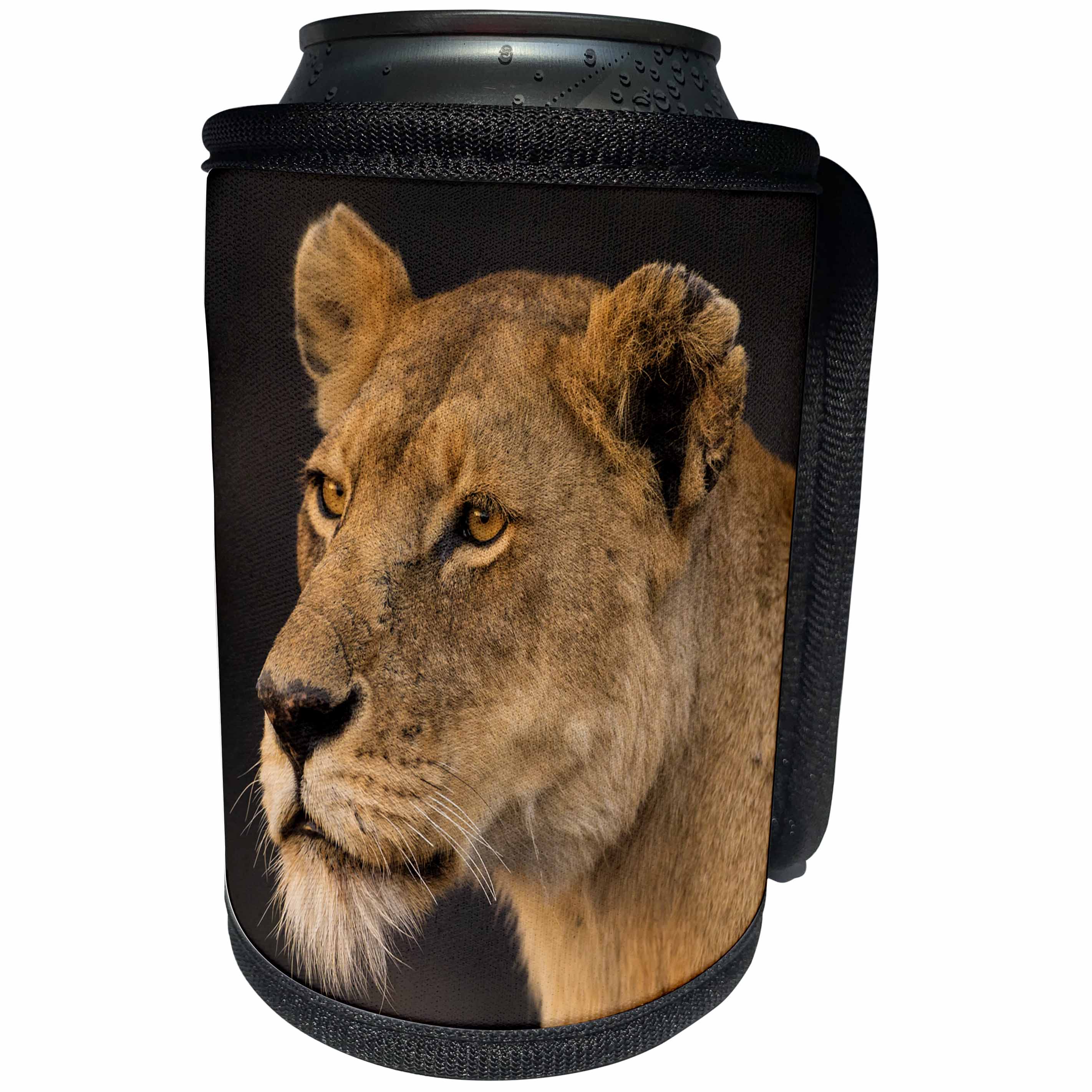 3dRose Danita Delimont - Big Cats - Africa. Tanzania. African lioness, Panthera Leo, Serengeti NP. - Can Cooler Bottle Wrap (cc_276558)