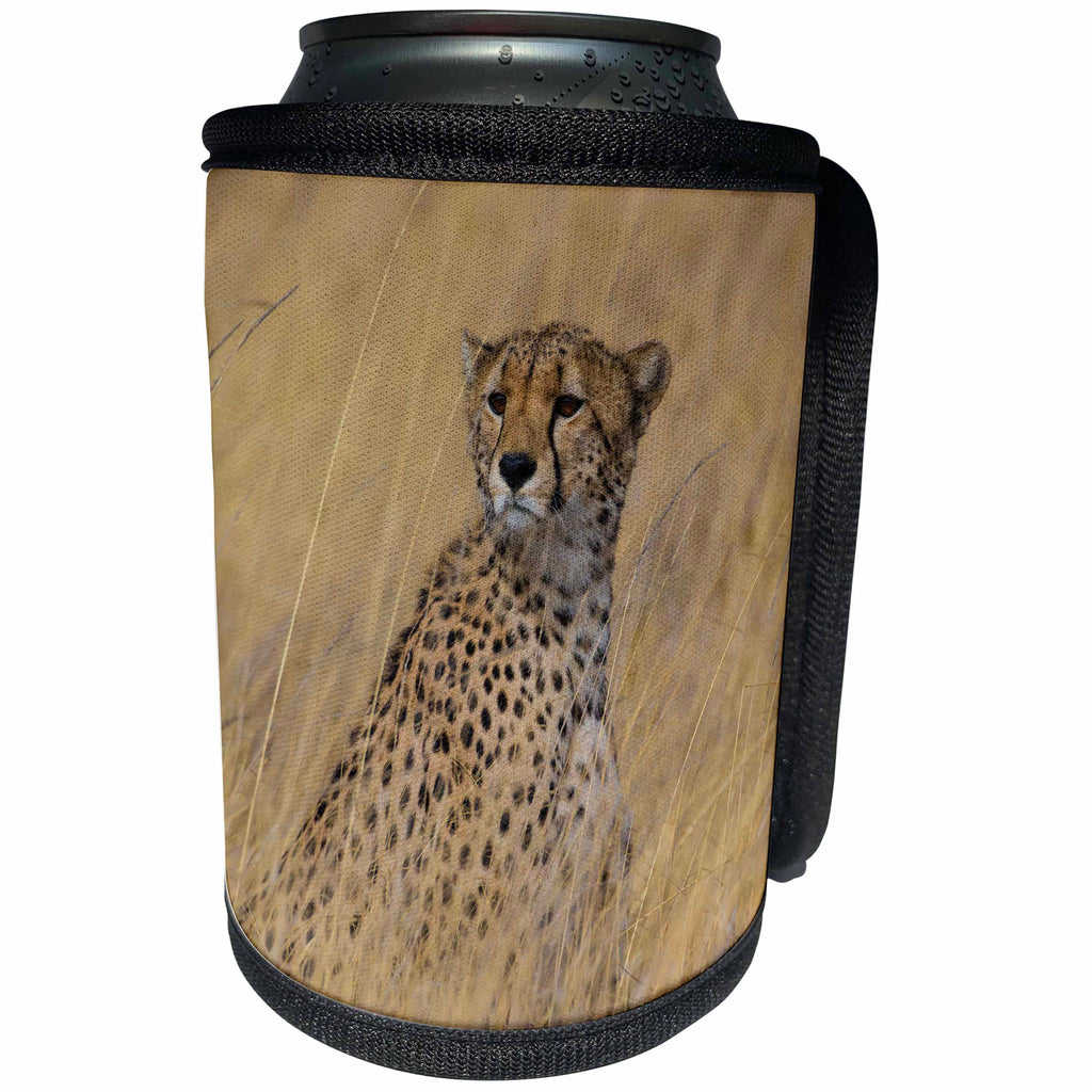 3dRose Danita Delimont - Big Cats - Africa. Tanzania. Cheetah hunting on the plains of the Serengeti. - Can Cooler Bottle Wrap (cc_276560)