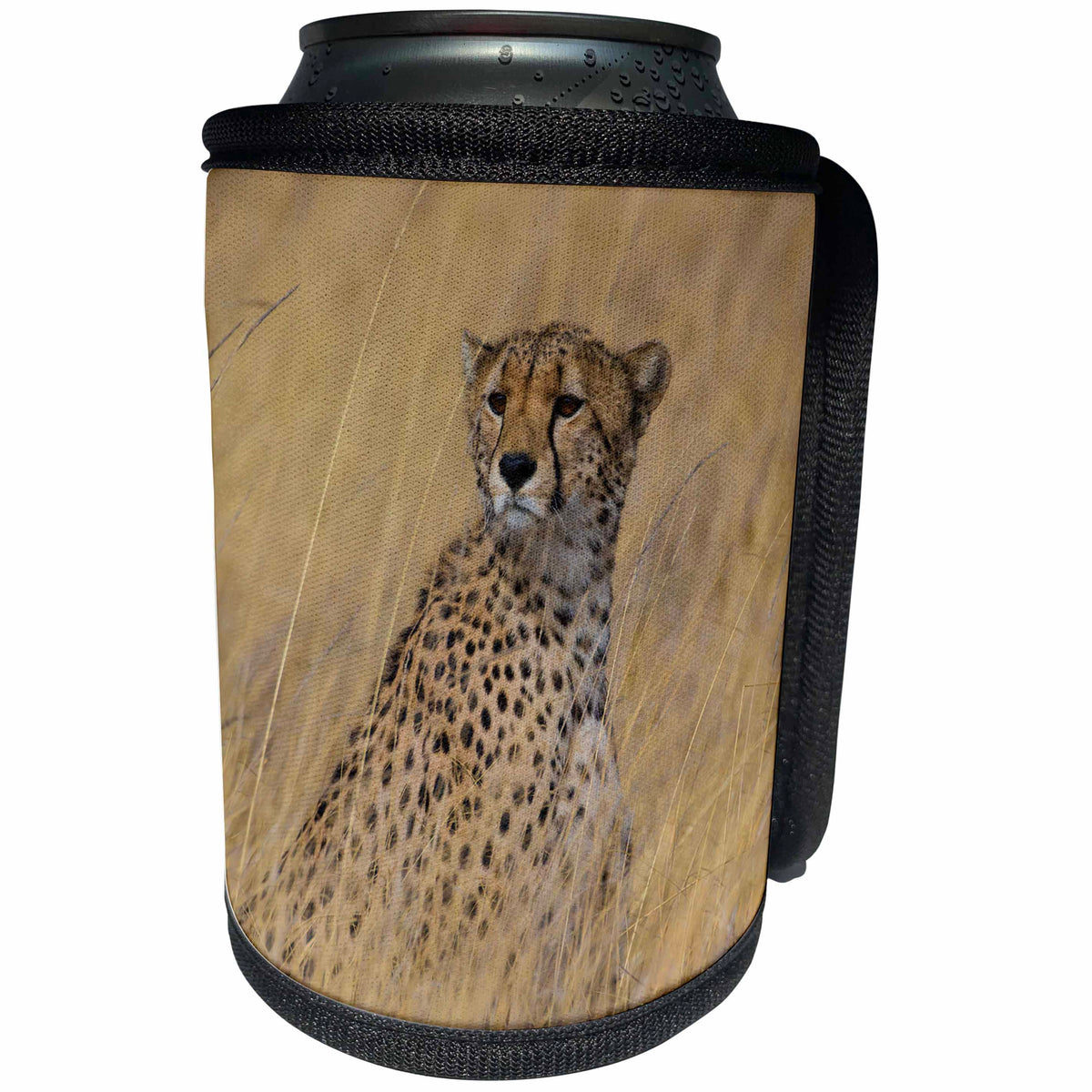 3dRose Danita Delimont - Big Cats - Africa. Tanzania. Cheetah hunting on the plains of the Serengeti. - Can Cooler Bottle Wrap (cc_276560)