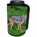 3dRose Danita Delimont - Coyotes - Africa. Tanzania. Golden jackal, Canis aureus, Serengeti NP. - Can Cooler Bottle Wrap (cc_276564)