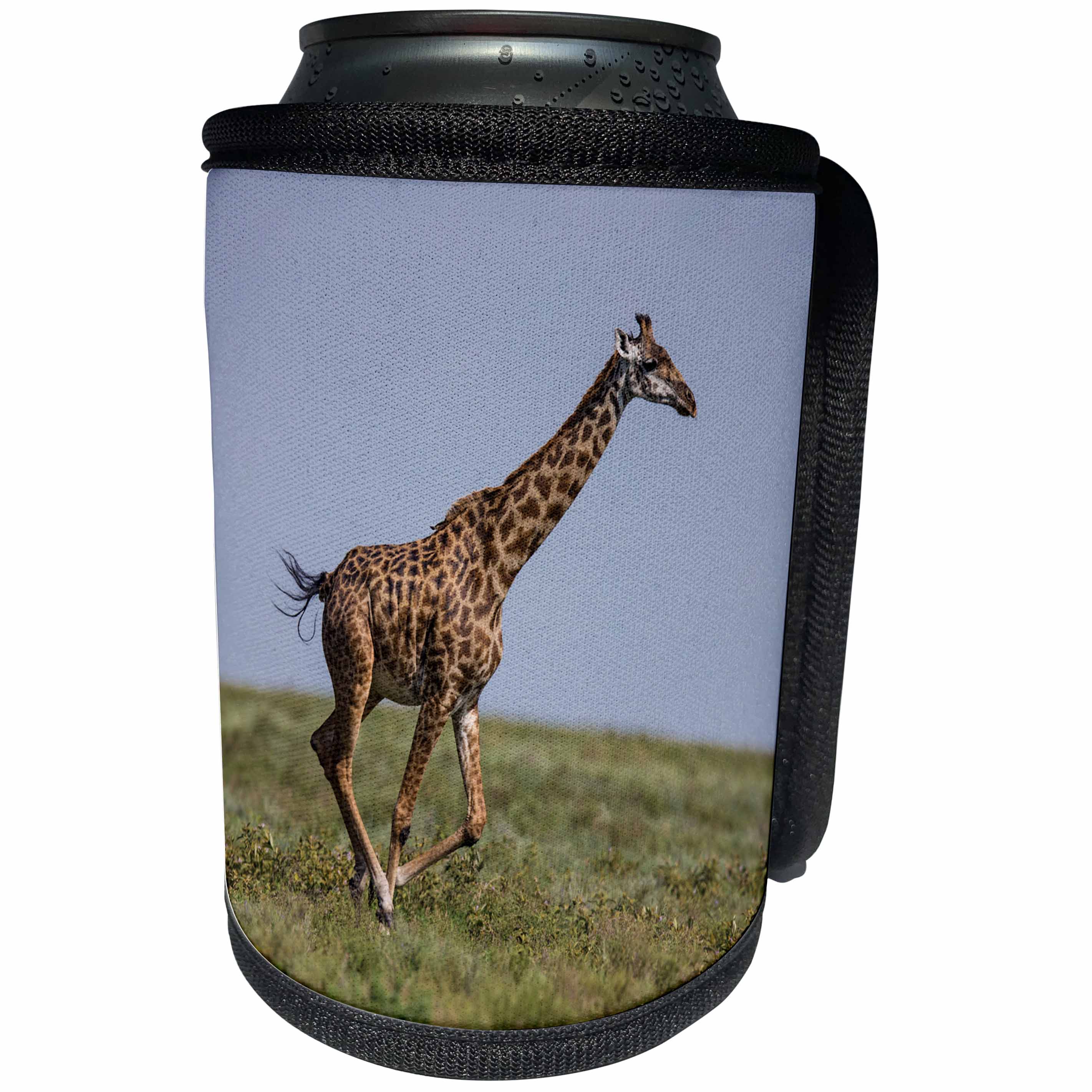 3dRose Danita Delimont - Giraffes - Africa. Tanzania, Ndutu. Masai giraffe running in Serengeti NP. - Can Cooler Bottle Wrap (cc_276566)