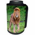 3dRose Danita Delimont - Big Cats - Africa. Tanzania. Male African lion at Ndutu, Serengeti NP. - Can Cooler Bottle Wrap (cc_276567)