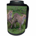 3dRose Danita Delimont - Big Cats - Africa. Tanzania. Two Cheetahs hunting on the plains of the Serengeti. - Can Cooler Bottle Wrap (cc_276569)