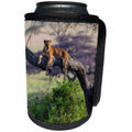 3dRose Danita Delimont - Big Cats - Africa. Tanzania. African lion female in tree Serengeti NP. - Can Cooler Bottle Wrap (cc_276573)
