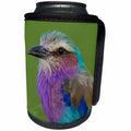 3dRose Danita Delimont - Birds - Africa. Tanzania. Lilac breasted roller in Serengeti NP. - Can Cooler Bottle Wrap (cc_276576)