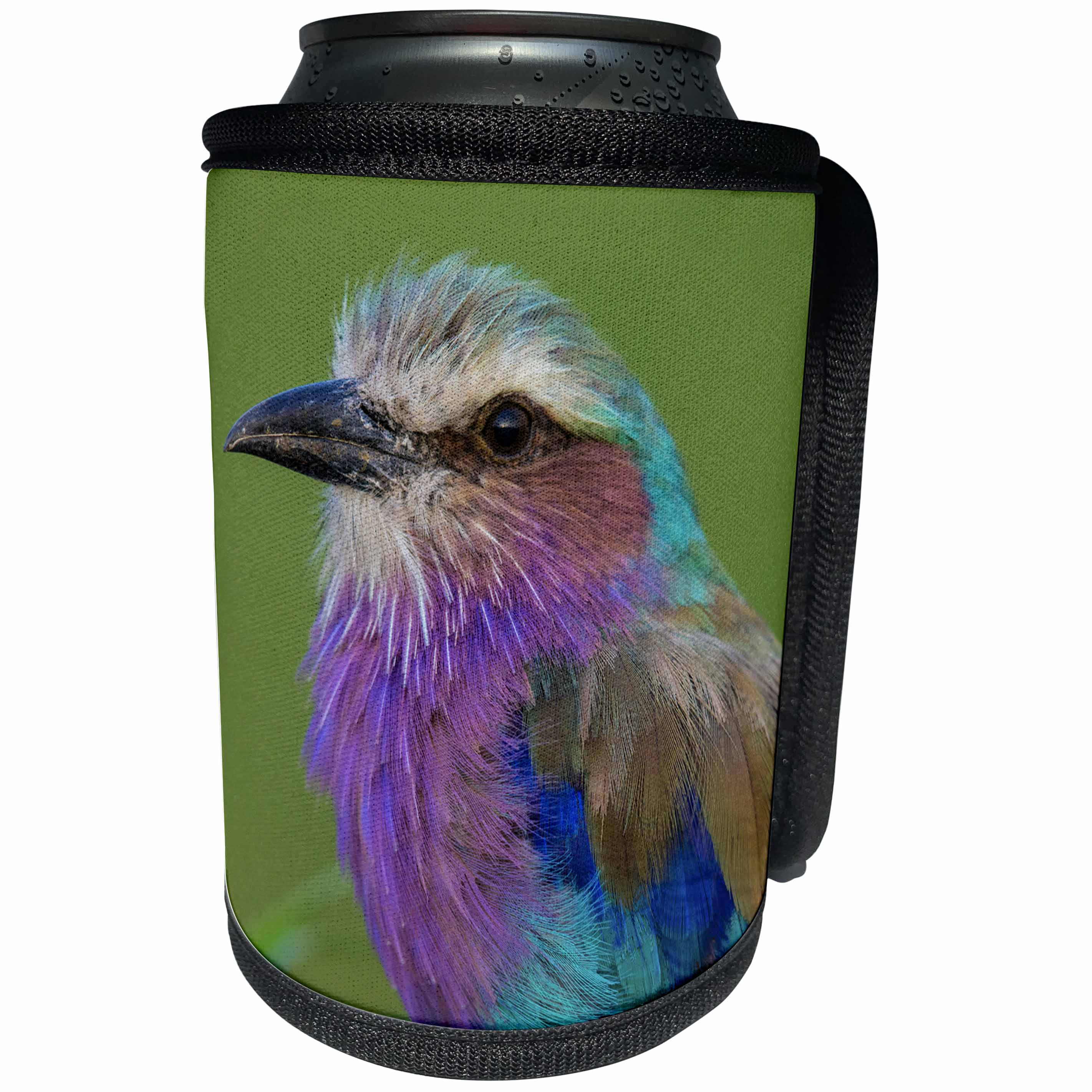 3dRose Danita Delimont - Birds - Africa. Tanzania. Lilac breasted roller in Serengeti NP. - Can Cooler Bottle Wrap (cc_276576)