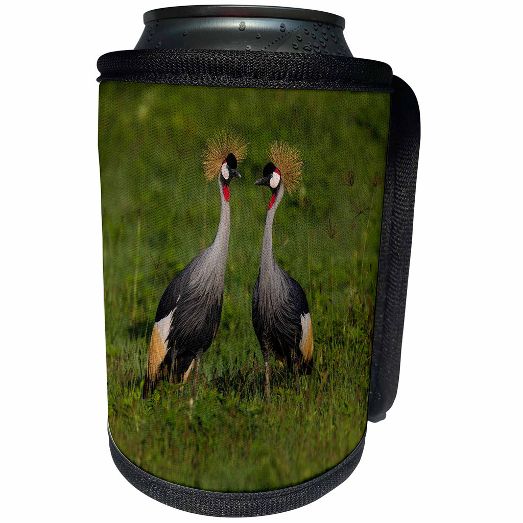 3dRose Danita Delimont - Birds - Africa. Tanzania. Grey crowned cranes at Ngorongoro crater. - Can Cooler Bottle Wrap (cc_276579)