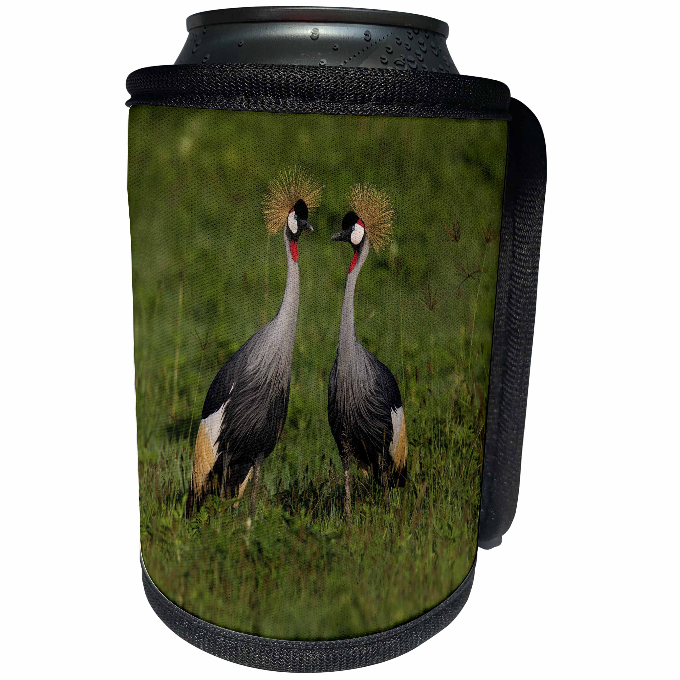 3dRose Danita Delimont - Birds - Africa. Tanzania. Grey crowned cranes at Ngorongoro crater. - Can Cooler Bottle Wrap (cc_276579)