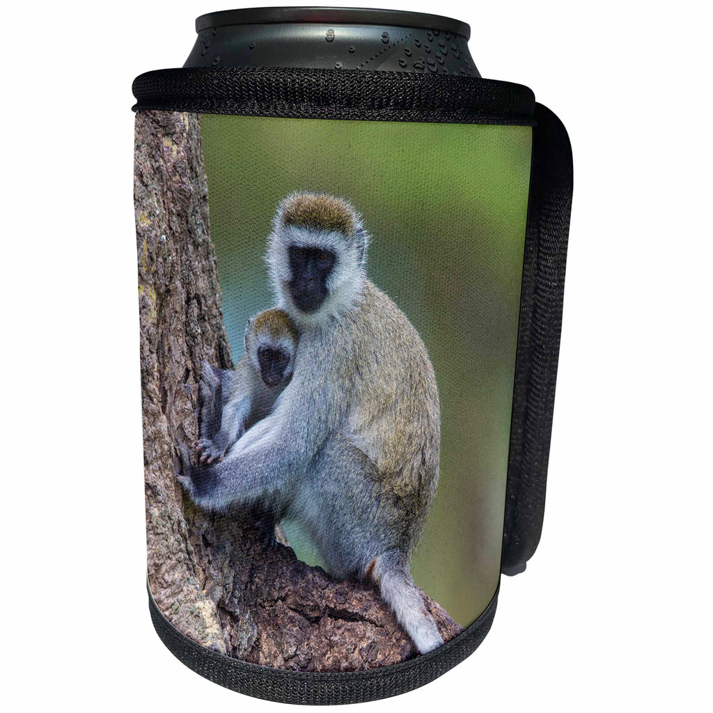 3dRose Danita Delimont - Primates - Africa. Tanzania, Ngorongoro Crater. Vervet monkey female and juvenile - Can Cooler Bottle Wrap (cc_276581)